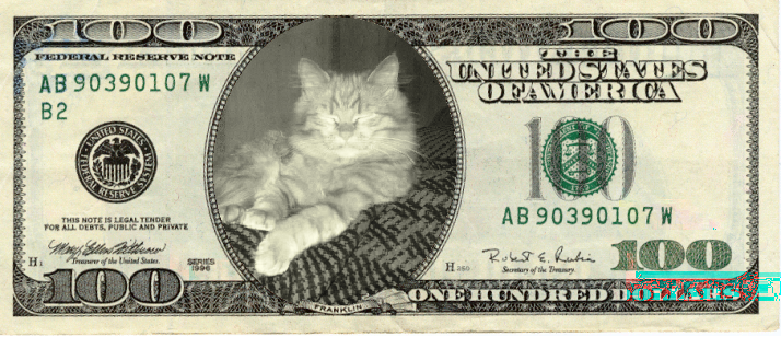 festisite_us_dollar_100_2.png