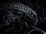 Soomrak